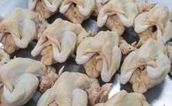 跟鲜鸡相比，冷冻鸡差到没边儿?