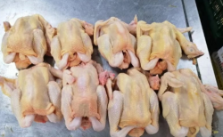 你了解怎么食用冷冻家禽吗？