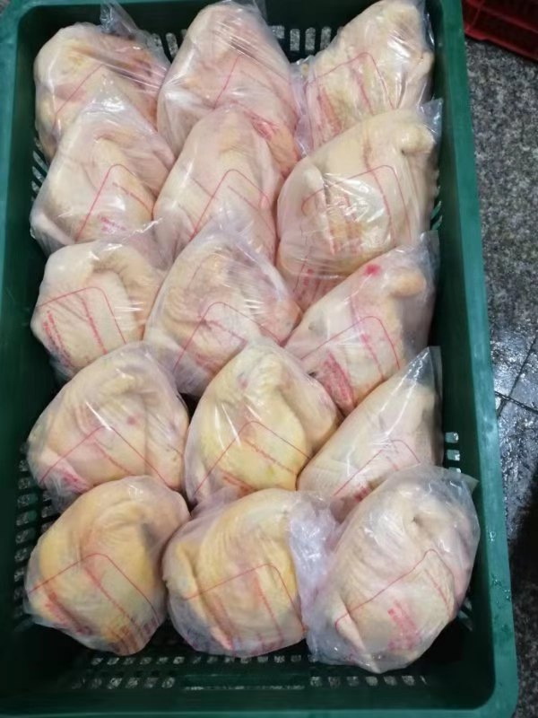 三黄鸡.jpg