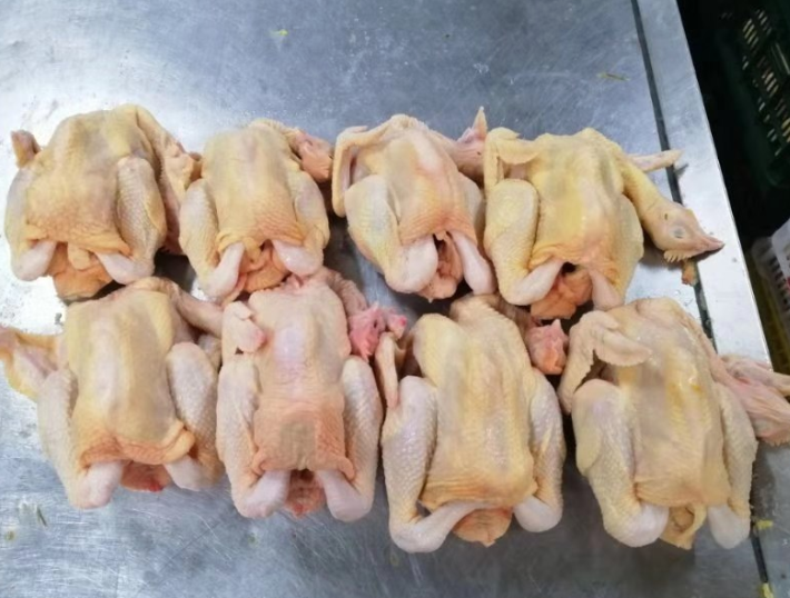 冷冻家禽